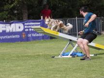Imágenes de la prueba celebrada en las Ferias y Fiestas de Valladolid FOTO: Valladoliddeporte